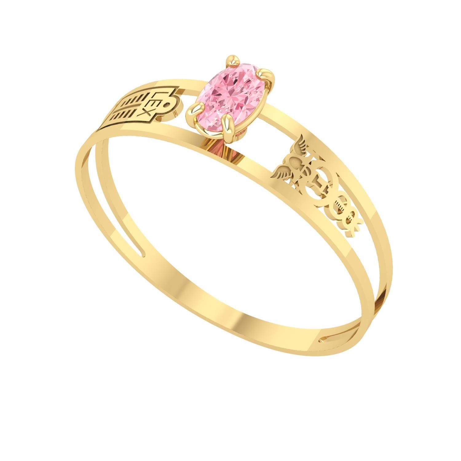 Anel Formatura Aro Duplo Oval Ciências Contábeis Ouro 18k
