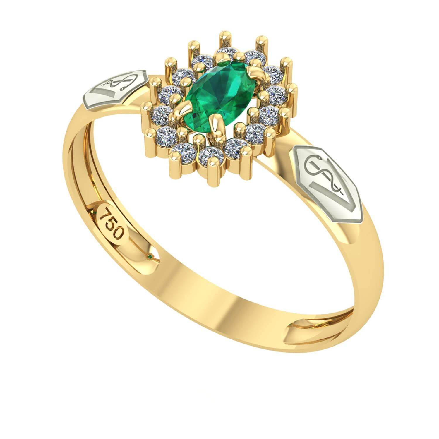 Anel de Formatura Oval Aro Inteiro Medicina Veterinária Ouro 18k