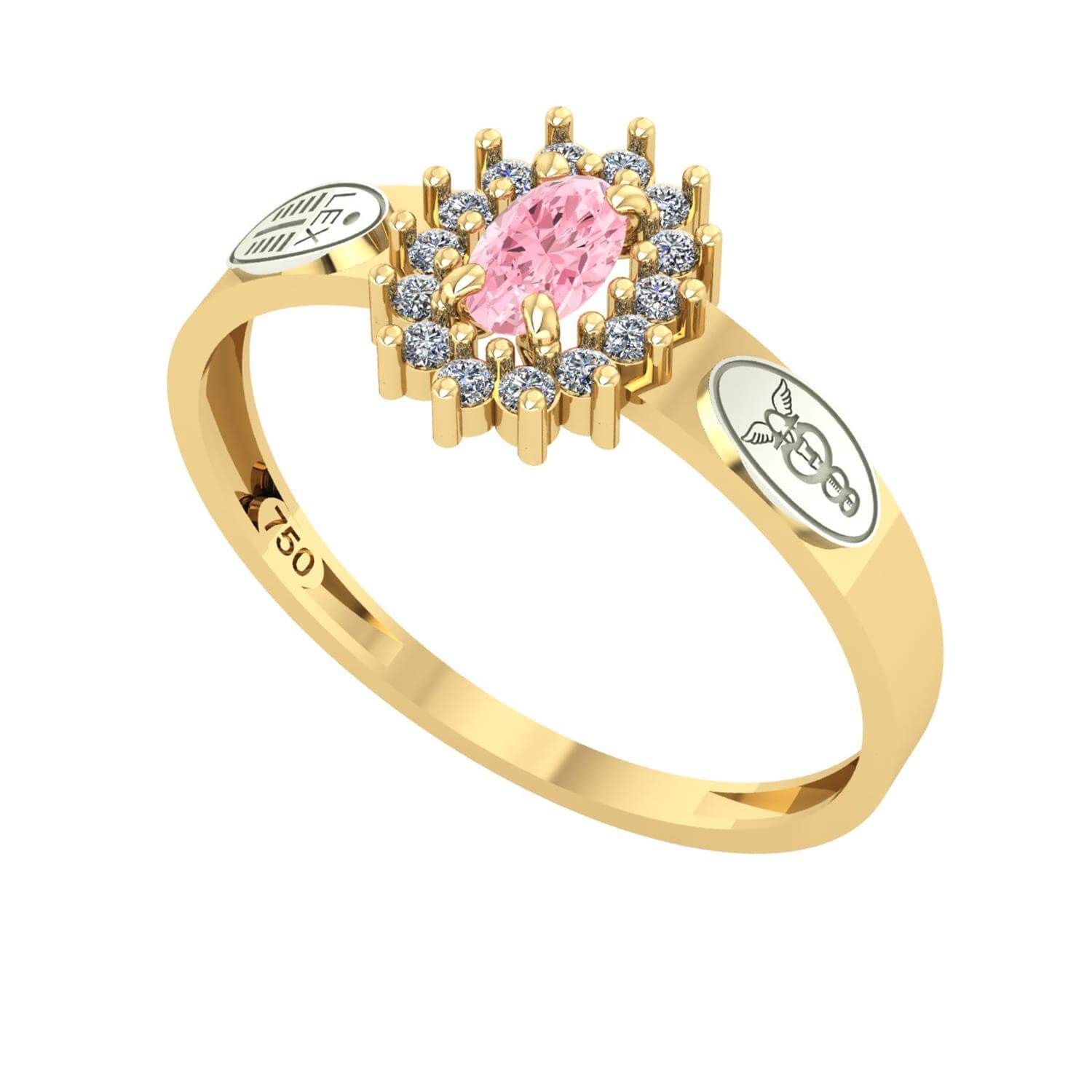 Anel Formatura Ciências Contábeis Oval Aro Reto Ouro 18K