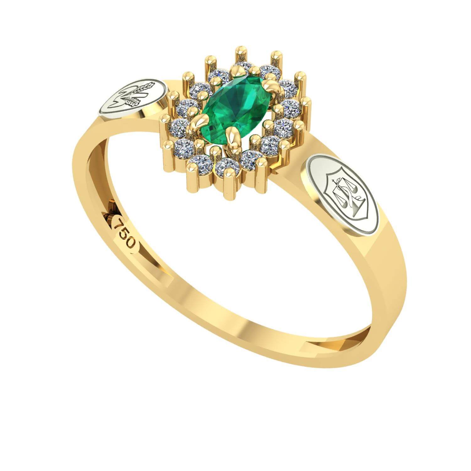 Anel Formatura Nutrição Oval Aro Reto Ouro 18K