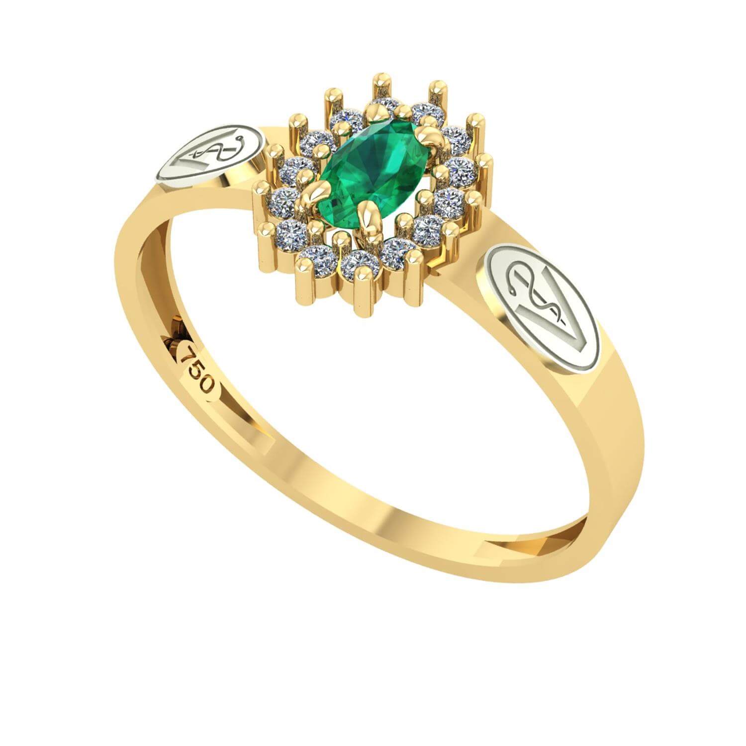 Anel Formatura Medicina Veterinária Oval Aro Reto Ouro 18K