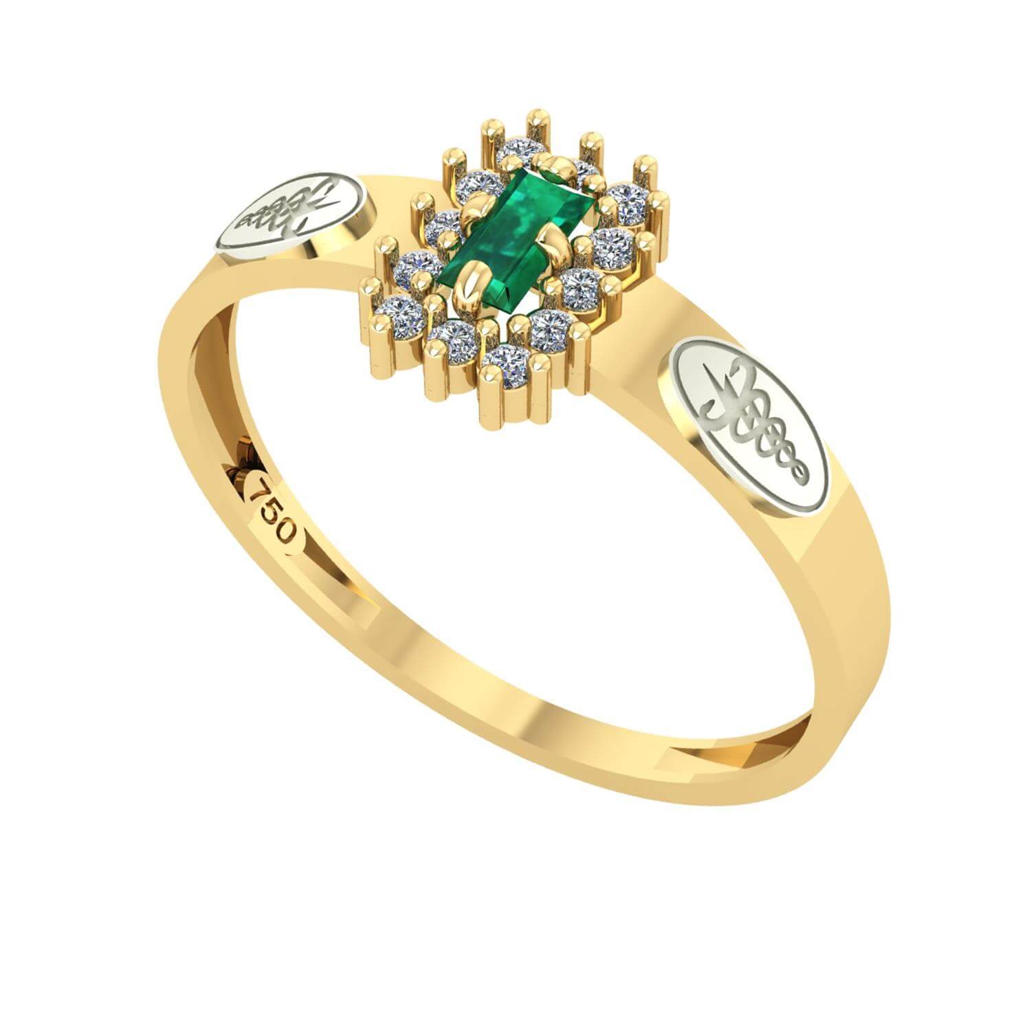 Anel Formatura Fisioterapia Baguete Aro Reto Ouro 18K