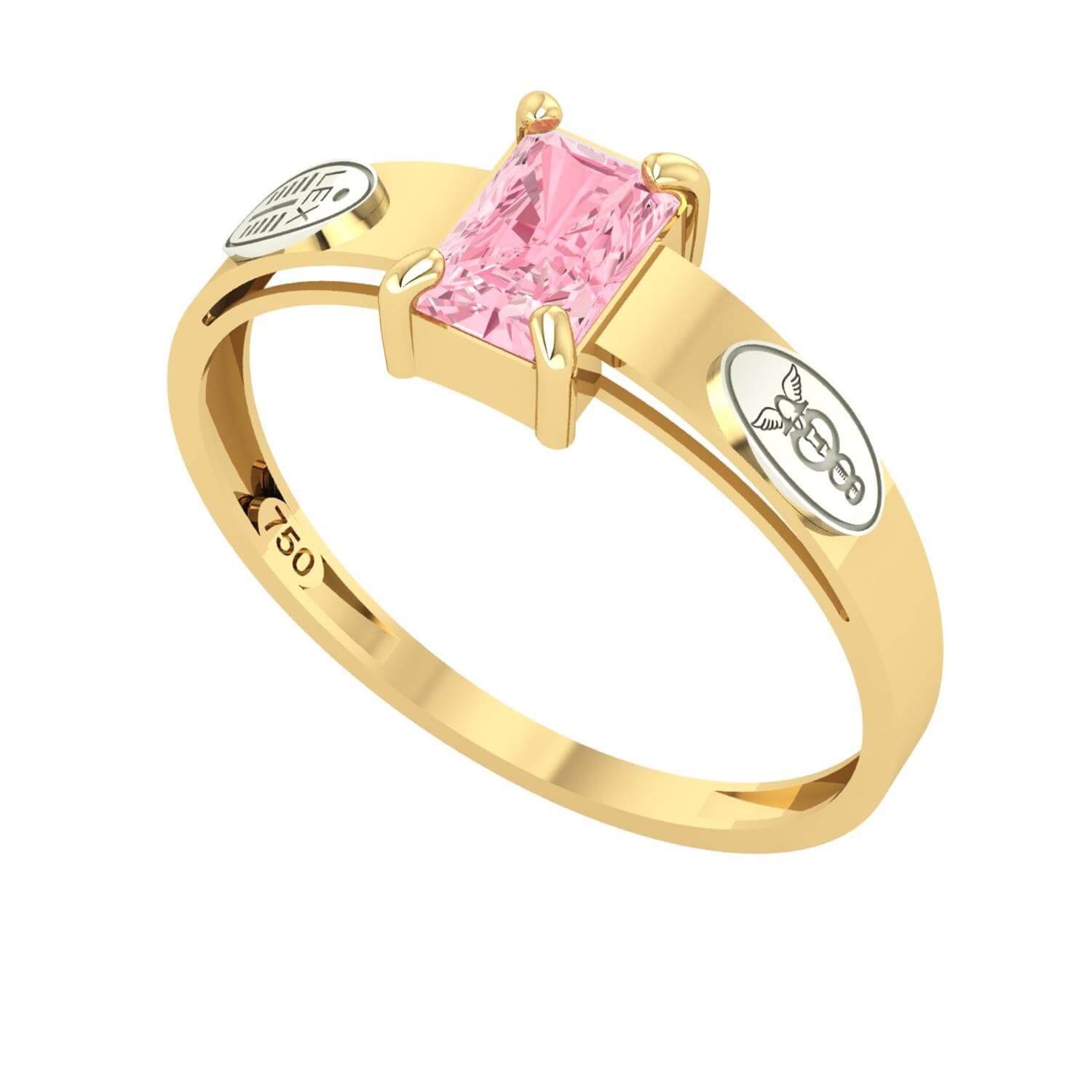 Anel Formatura Ciências Contábeis Retangular Aro Detalhado Ouro 18K