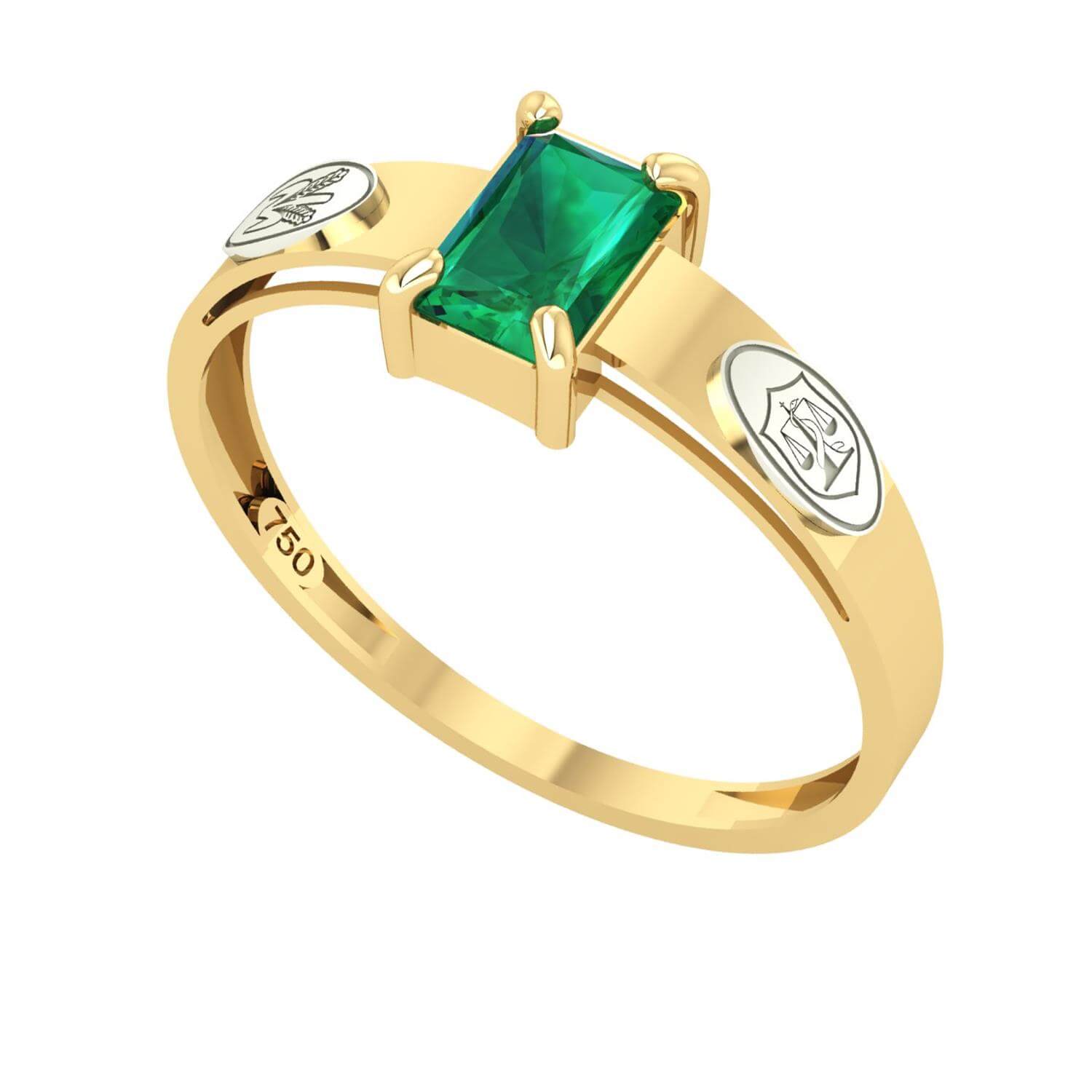 Anel Formatura Nutrição Retangular – Ouro 18K Amagold