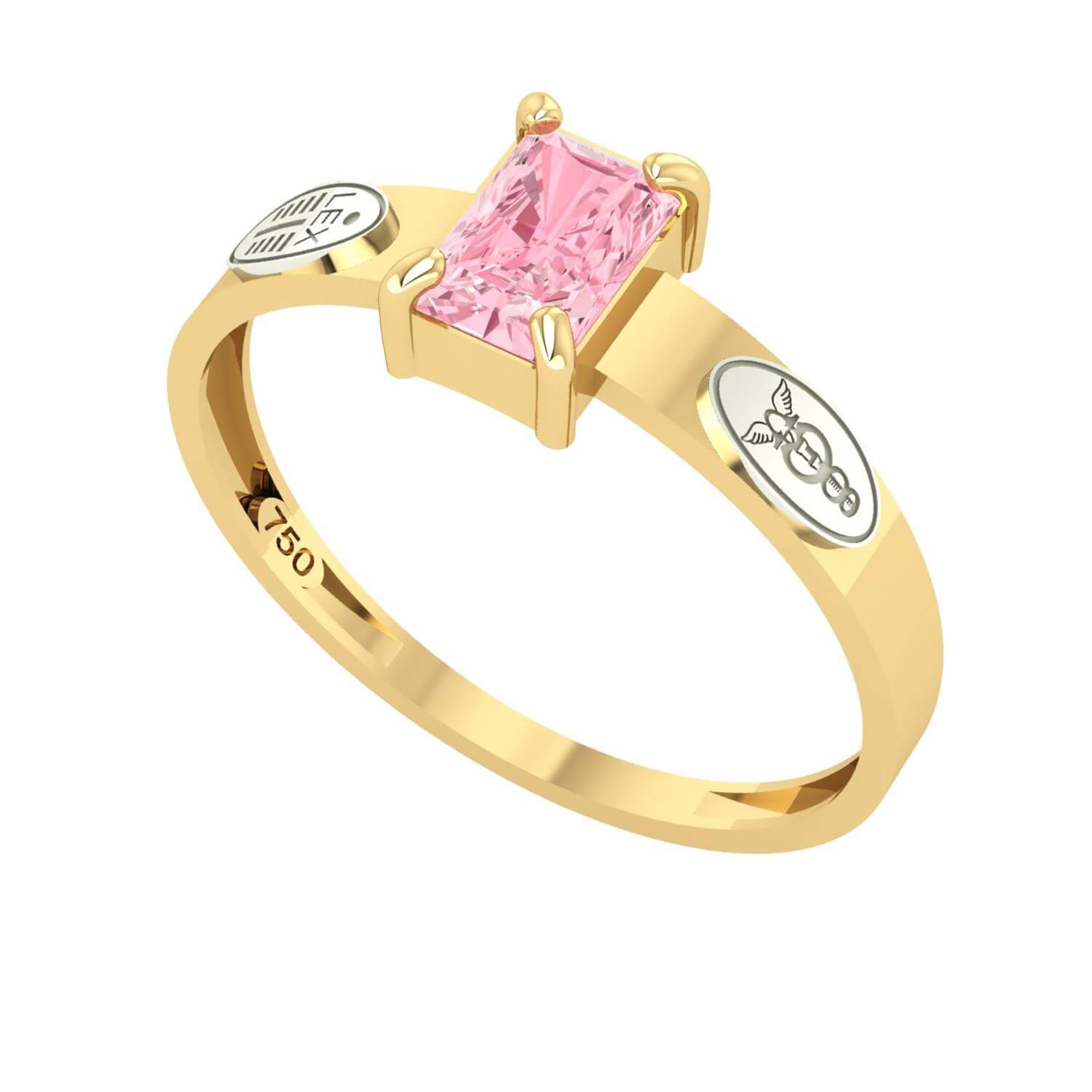 Anel Formatura Ciências Contábeis Retangular Aro Reto Ouro 18K