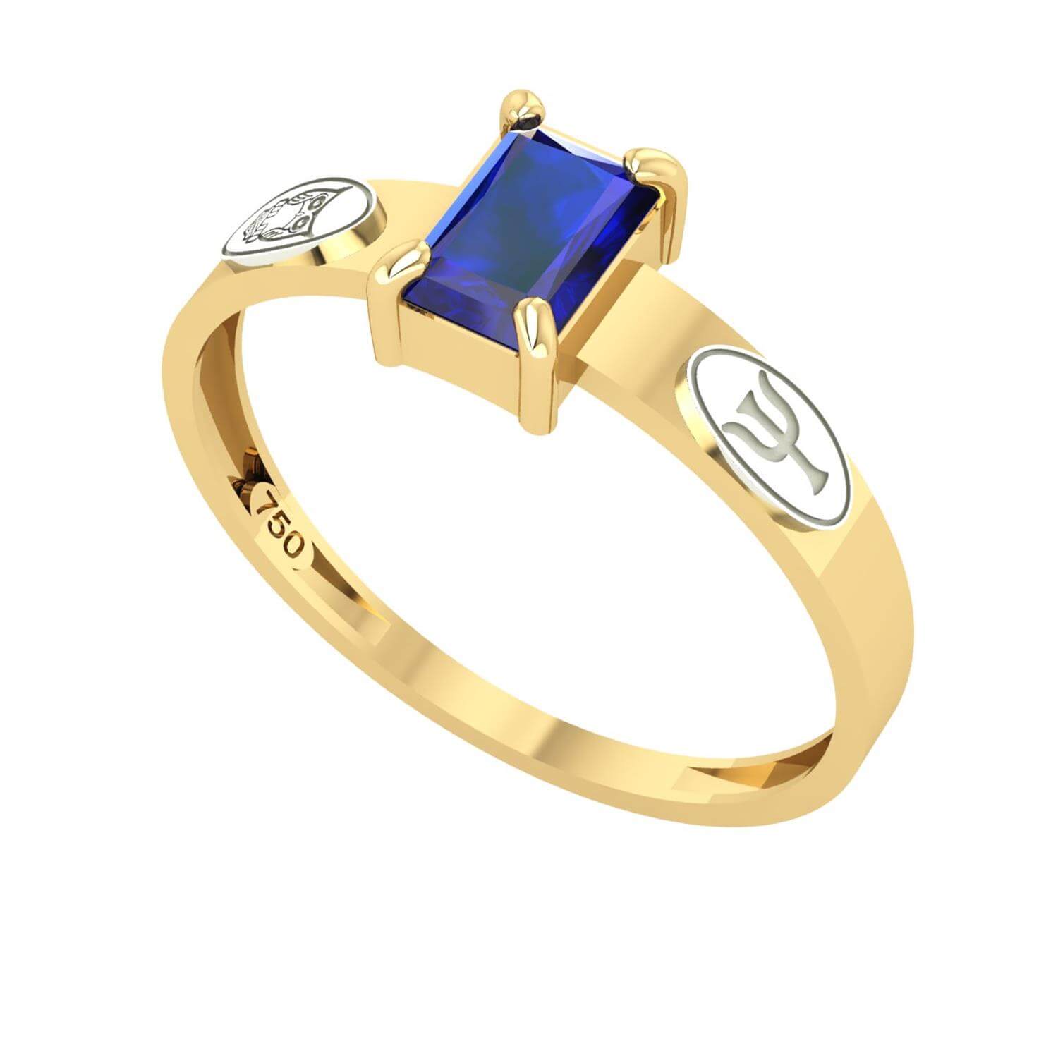 Anel Formatura Psicologia Retangular Aro Reto Ouro 18K