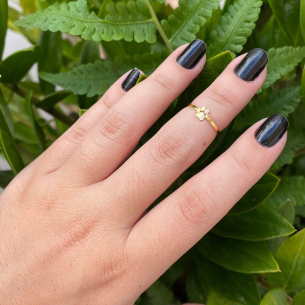 Anel Patinha Falange Ouro 18k