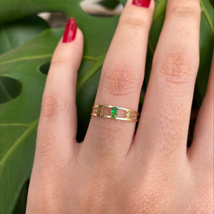 Anel Formatura Aro Duplo Gota Pequena Fisioterapia Ouro 18k