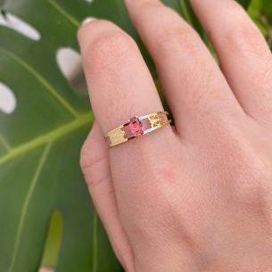 Anel Formatura Aro Duplo Oval Ciências Contábeis Ouro 18k