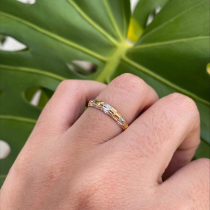 Anel Aparador Três Cores de Ouro Diamantado Ouro 18k
