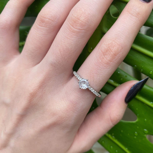 Anel Solitário com Aro Cravejado Ouro Branco 18k