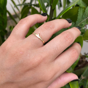 Anel Coroa Lisa com Diamante Ouro 18k