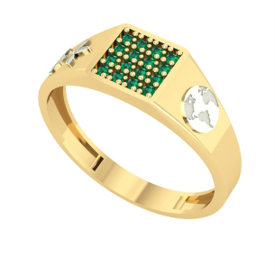 Anel Formatura Masculino Pavê Gestão Ambiental Ouro 18k