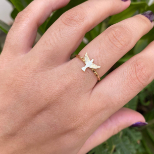 Anel Espírito Santo com Aro Torcido Ouro 18k