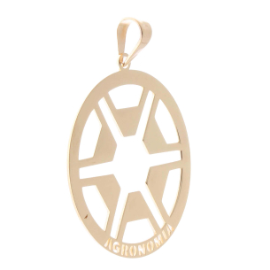 Pingente Agronomia 2.4cm Ouro 18k