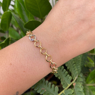 Pulseira Elos Tricolor Ouro 18k