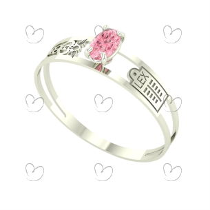 Anel Formatura Aro Duplo Oval Ciências Contábeis Ouro Branco 18k