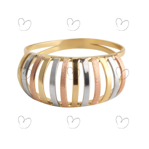 Anel Aro Duplo Tricolor Ouro 18k