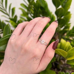 Anel Formatura Navete Ciências Contábeis Ouro 18k