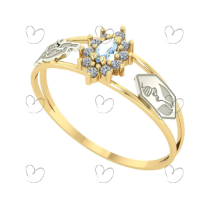 Anel Formatura Navete Biologia Ouro 18k