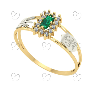 Anel Formatura Baguete Nutrição Ouro 18k