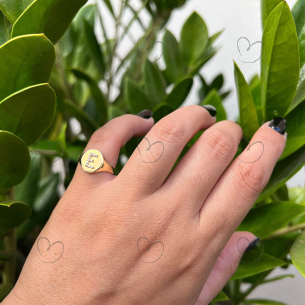 Anel Chancela Oval Letra E Ouro 18k