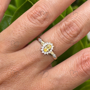 Anel de Formatura Oval Aro Inteiro Farmácia Ouro 18k