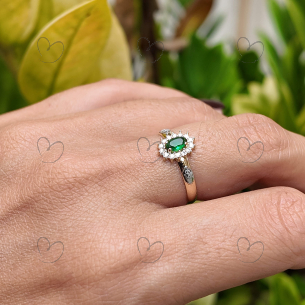 Anel de Formatura Oval Aro Inteiro Medicina Veterinária Ouro 18k