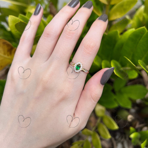 Anel de Formatura Oval Aro Inteiro Nutrição Ouro 18k