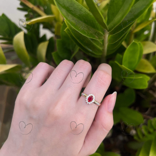 Anel de Formatura Oval Aro Inteiro Odontologia Ouro 18k