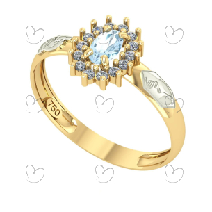 Anel de Formatura Oval Aro Inteiro Biologia Ouro 18k