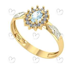 Anel de Formatura Oval Aro Inteiro Biologia Ouro 18k