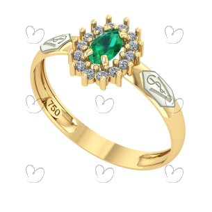 Anel de Formatura Oval Aro Inteiro Medicina Veterinária Ouro 18k