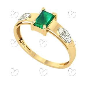 Anel Formatura Nutrição Retangular – Ouro 18K Amagold