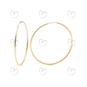 Brinco Argola Redonda 2,5cm Ouro 18k