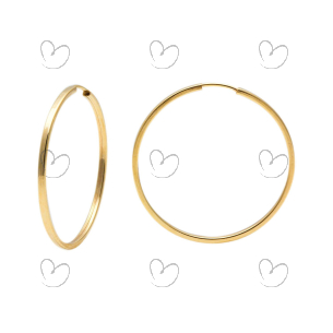 Brinco Argola Redonda 2.5cm Fino Ouro 18k