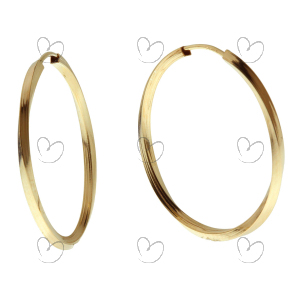 Brinco Argola Redonda Torcida 2,5cm Ouro 18k